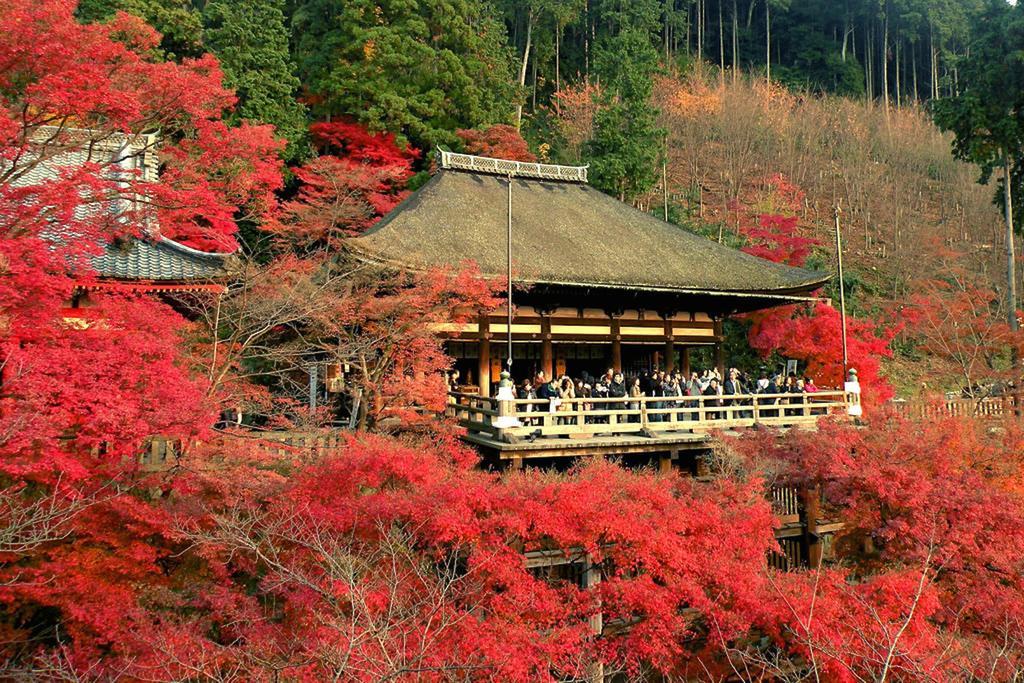 Rin Kyoto Kinkaku-Ji Temple Villa Bagian luar foto