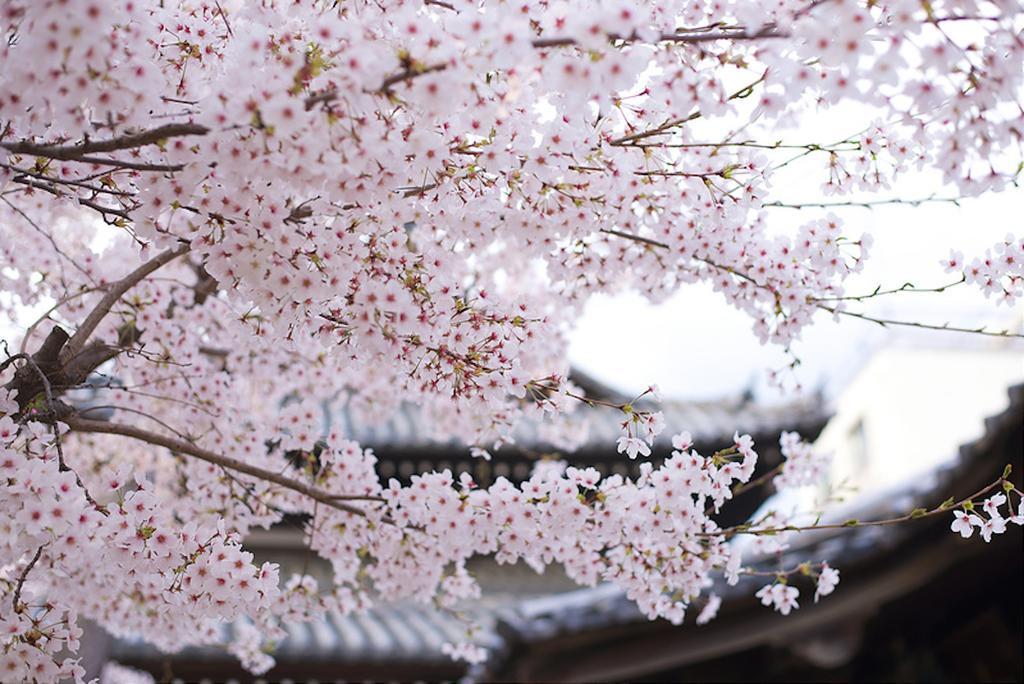 Rin Kyoto Kinkaku-Ji Temple Villa Bagian luar foto